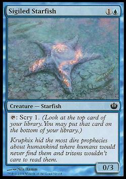 Sigiled Starfish (Sigill-Seestern)